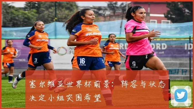 塞尔维亚世界杯前景：阵容与状态决定小组突围希望