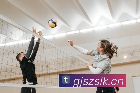 mksports在线登录入口品牌故事